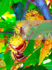 借唄欠10萬真的還不起了能怎樣(支付寶借唄欠10萬還不上)