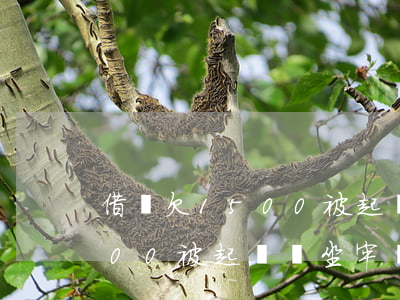 借唄欠1500被起訴會坐牢嗎(借唄欠1500被起訴會坐牢嗎)