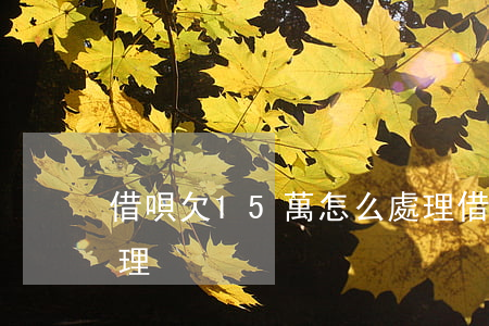 借唄欠15萬怎么處理(借唄欠15萬怎么處理)