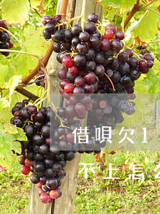借唄欠15萬還不上了(借唄欠5萬多目前還不上怎么辦呢)