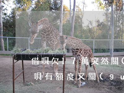 借唄欠17萬突然關(guān)閉額度(借唄有額度又關(guān)閉了怎么辦)