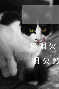 借唄欠18萬現(xiàn)在還不上了(借唄欠款18萬怎么辦)
