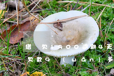 借唄欠1900逾期4天(借唄逾期90多天 欠款9萬(wàn)多)