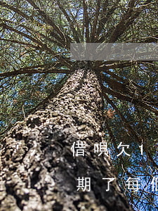 借唄欠1千多逾期一個(gè)多月(借唄逾期了每個(gè)月還個(gè)一千)