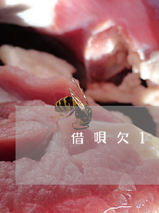 借唄欠1年多了怎么辦