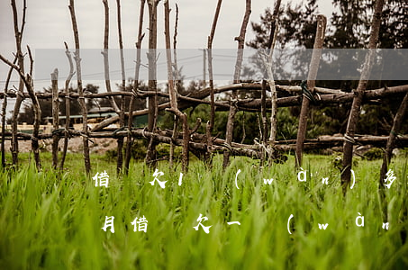 借唄欠1萬(wàn)多逾期4個(gè)月(借唄欠一萬(wàn)多逾期三個(gè)月了)