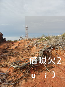 借唄欠2000半年會(huì)不會(huì)上法庭呢，咨詢：借唄欠款2000元逾期半年是否會(huì)面臨法律訴訟？
