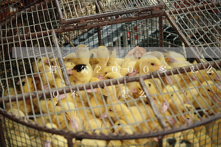 借唄欠2000多會怎么樣(借唄欠20000不還會怎么樣)