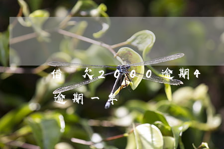 借唄欠2000逾期4個月(借唄欠4000逾期一年)