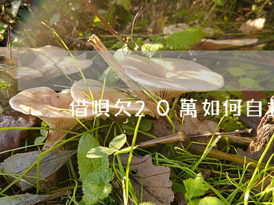 借唄欠20萬如何自救(借唄欠款怎么自救)