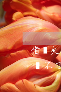 借唄欠20萬怎么處理(借唄欠款十幾萬塊錢還不了怎么辦)