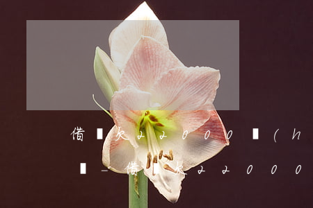 借唄欠22000會(huì)被起訴坐牢嗎-借唄欠22000會(huì)被起訴坐牢嗎多久