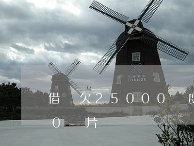借唄欠25000額度圖片(借唄欠款5000圖片)