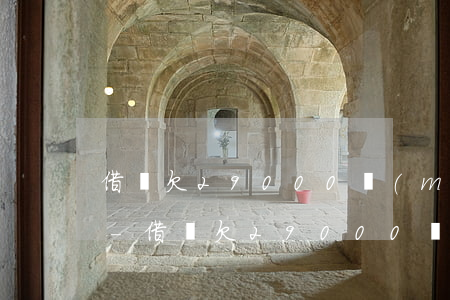 借唄欠29000沒(méi)錢還怎么辦-借唄欠29000沒(méi)錢還怎么辦呢