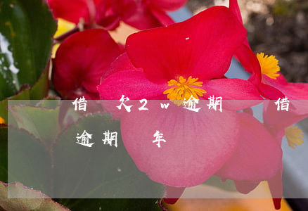 借唄欠2w逾期(螞蟻借唄了2萬(wàn)逾期兩年)