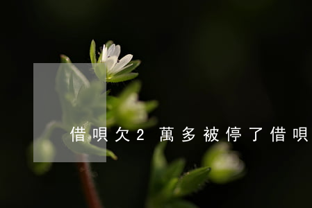 借唄欠2萬多被停了(借唄欠兩萬)