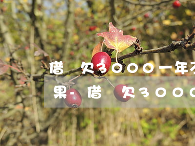 借唄欠3000一年不還真實(shí)后果-借唄欠3000一年不還真實(shí)后果是什么