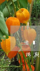 借唄欠30萬自救方法(借唄欠款20萬無法按期償還怎么辦)