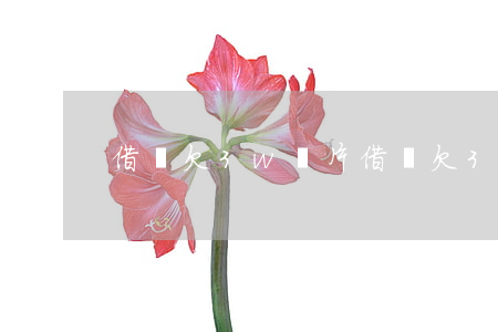 借唄欠3w圖片(借唄欠3w圖片)