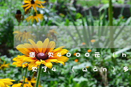 借唄欠4000元會(huì)怎么樣(借唄欠了4萬(wàn)多)