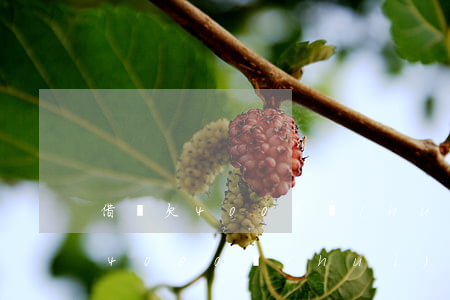 借唄欠4000會(huì)起訴嗎(借唄欠4000會(huì)起訴嗎)