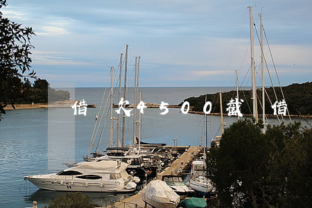 借唄欠4500截圖(借唄25000還欠截圖)