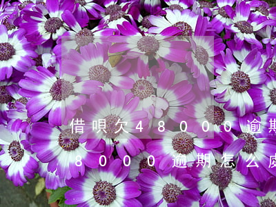 借唄欠48000逾期怎么處理-借唄欠48000逾期怎么處理好
