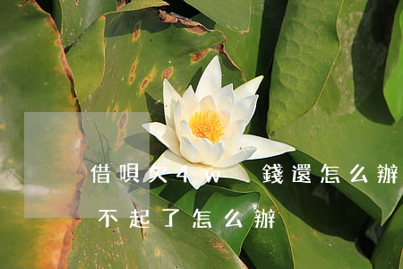 借唄欠4w沒錢還怎么辦(借唄欠款5萬多還不起了怎么辦)