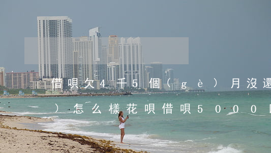 借唄欠4千5個(gè)月沒還會(huì)怎么樣(花唄借唄5000四9個(gè)月沒還)