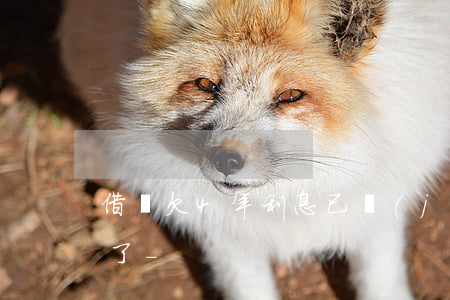 借唄欠4年利息已經(jīng)超過本金了-