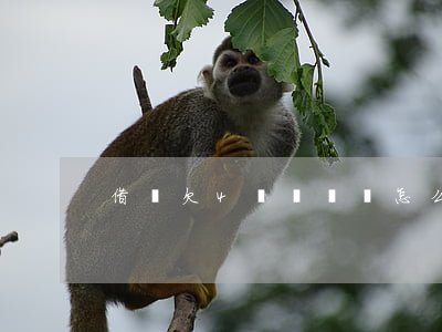 借唄欠4萬沒還會怎么樣(借唄欠了4萬多)