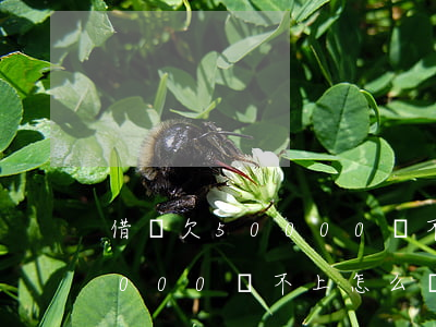 借唄欠50000還不上怎么辦(借唄欠50000還不上怎么辦)