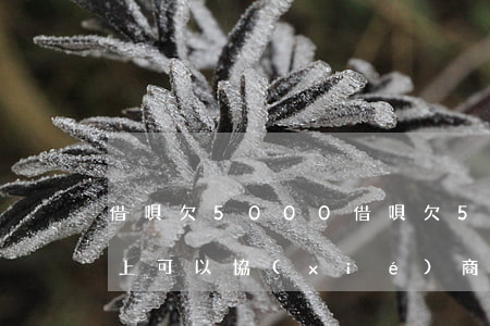 借唄欠5000(借唄欠50000分期還不上,可以協(xié)商慢慢還嗎?)