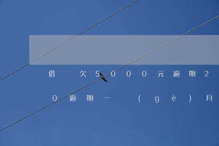 借唄欠5000元逾期2年(借唄欠款5000逾期一個(gè)月利息)