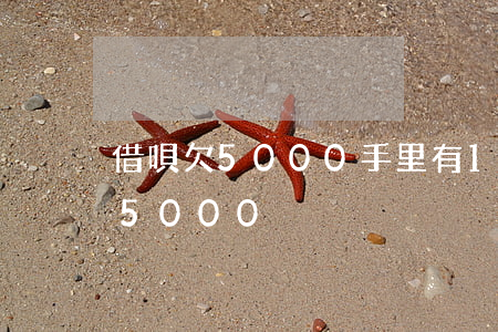 借唄欠5000手里有1000-借唄欠了5000