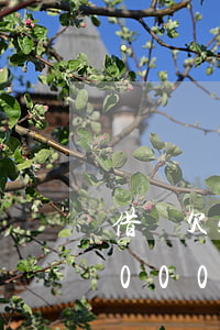 借唄欠5000無力還款怎么辦-借唄欠5000無力還款怎么辦呢