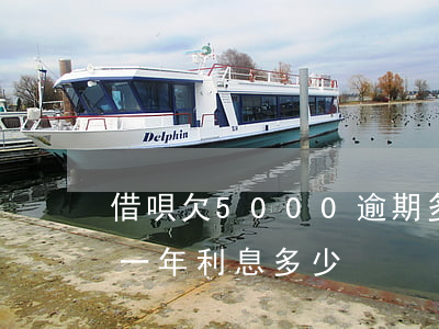 借唄欠5000逾期多久(借唄5000逾期一年利息多少)