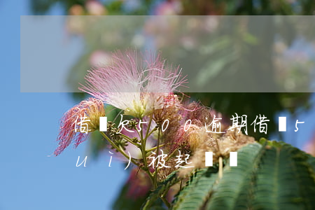 借唄欠500逾期(借唄5000逾期會(huì)被起訴嗎)