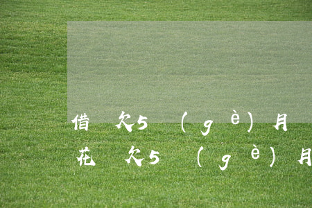 借唄欠5個(gè)月會(huì)怎么樣(花唄欠5個(gè)月會(huì)怎么樣)