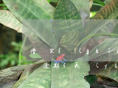 借唄欠5個(gè)月還沒開庭怎么處理(借唄逾期5天嚴(yán)不嚴(yán)重)
