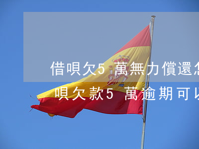 借唄欠5萬無力償還怎么協(xié)商(借唄欠款5萬逾期可以協(xié)商解決嗎)