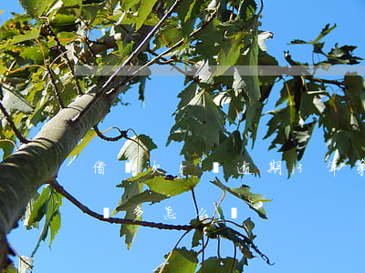 借唄欠5萬逾期3年第三方上門(借唄逾期3萬多怎么辦)