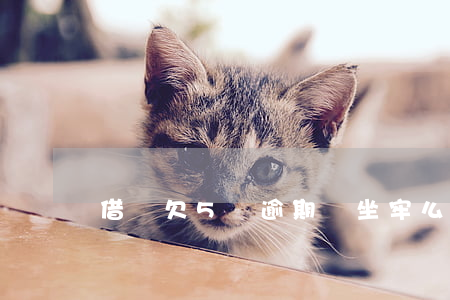 借唄欠5萬逾期會坐牢么(借唄欠款5萬逾期)