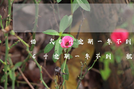 借唄欠6千逾期一年不到會被抓去-借唄欠6千逾期一年不到會被抓去坐牢嗎?