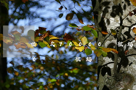借唄欠70000會被起訴嗎(欠借唄5000塊錢會被起訴嗎)