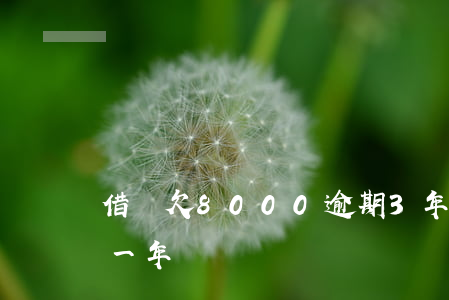 借唄欠8000逾期3年(借唄5000逾期一年)