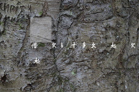 借唄欠8千多久會起訴(欠借唄8萬會不會被起訴)