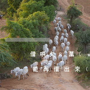 借唄欠8萬(wàn)還三萬(wàn)還能再借出來(lái)嗎-借唄欠8萬(wàn)還三萬(wàn)還能再借出來(lái)嗎知乎
