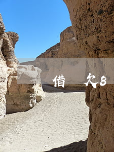 借唄欠8萬怎么辦(借唄8萬還不上怎么辦)