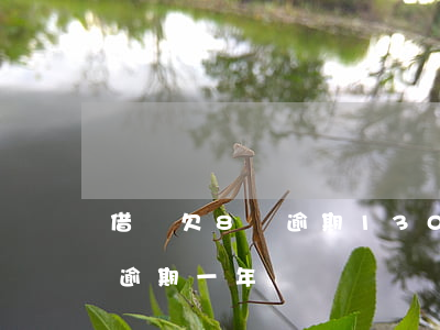 借唄欠8萬逾期130天(支付寶欠借唄8萬逾期一年)